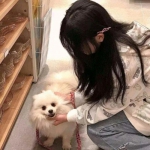 塔防之王手游雷神互娱版下载